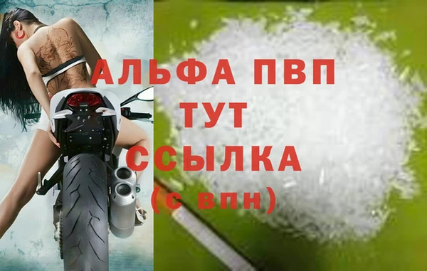 трава Белокуриха