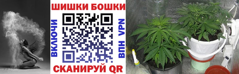 наркотики  Нерехта  Конопля планчик 